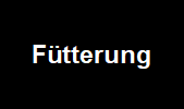 Ftterung