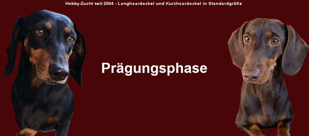 Prgungsphase