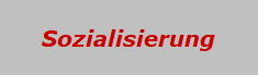 Sozialisierung