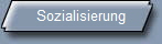 Sozialisierung