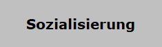 Sozialisierung