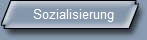 Sozialisierung