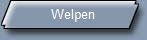 Welpen