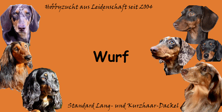 Wurf